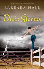 Dixie Storms