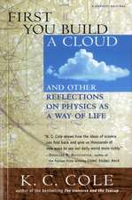 First You Build A Cloud: And Other Reflections on Physics as a Way of Life