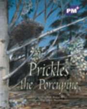 Prickles the Porcupine PM PLUS Level 19 Purple