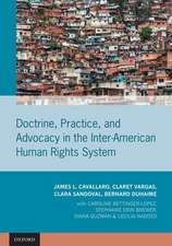 Doctrine, Practice, and Advocacy in the Inter-American Human Rights System