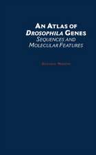 An Atlas of Drosophila Genes: Sequences and Molecular Features