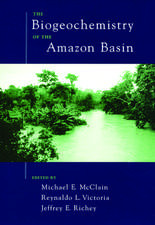 The Biogeochemistry of the Amazon Basin