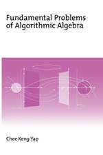 Fundamental Problems of Algorithmic Algebra