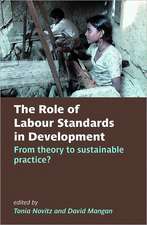 The Role of Labour Standards in Development: From theory to sustainable practice