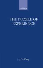 The Puzzle of Experience