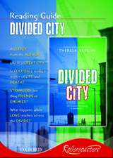 Rollercoasters: The Divided City Reading Guide