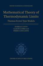 Mathematical Theory of Thermodynamic Limits: Thomas-Fermi Type Models