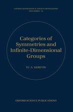 Categories of Symmetries and Infinite-Dimensional Groups