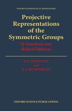 Projective Representations of the Symmetric Groups: Q-Functions and Shifted Tableaux