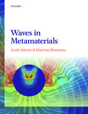 Waves in Metamaterials