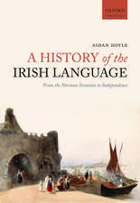 A History of the Irish Language: From the Norman Invasion to Independence