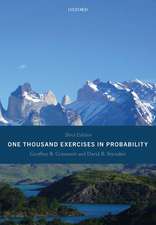 One Thousand Exercises in Probability: Third Edition