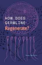 How Does Germline Regenerate?