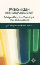 Efficiency Models in Data Envelopment Analysis: Techniques of Evaluation of Productivity of Firms in a Growing Economy