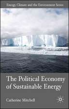 The Political Economy of Sustainable Energy