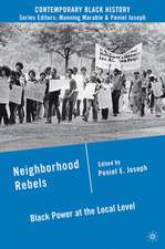 Neighborhood Rebels: Black Power at the Local Level