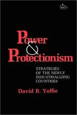 Power and Protectionism – Strategies of the Newly Industrializing Countries