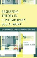 Reshaping the Domain of Theory in Social Work – Toward a Critical Pluralism in Contemporary Practice