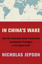 In China′s Wake – How the Commodity Boom Transformed Development Strategies in the Global South