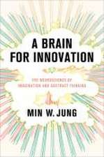 A Brain for Innovation – The Neuroscience of Imagination and Abstract Thinking