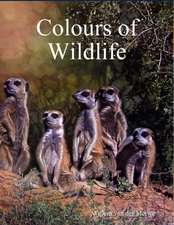 Colours of Wildlife