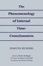 The Phenomenology of Internal Time–Consciousness