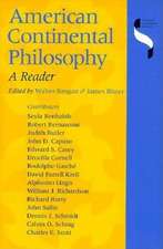 American Continental Philosophy – A Reader