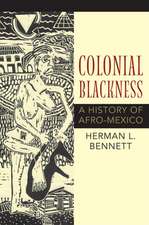 Colonial Blackness – A History of Afro–Mexico