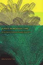 Plants in Mesozoic Time – Morphological Innovations, Phylogeny, Ecosystems