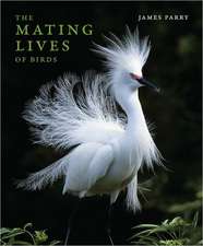 Mating Lives of Birds