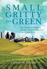 Small, Gritty, and Green – The Promise of America`s Smaller Industrial Cities in a Low–Carbon World