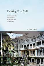 Thinking like a Mall – Environmental Philosophy after the End of Nature