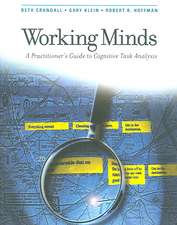 Working Minds – A Practioner′s Guide to Cognitive Task Analysis