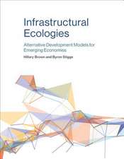 Infrastructural Ecologies – Alternative Development Models for Emerging Economies