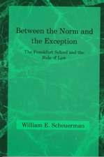 Between the Norm & The Exception – The Frankfurt School & the Rule of Law (Paper)