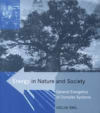 Energy in Nature and Society – General Energetics of Complex Systems