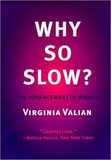 Why So Slow?