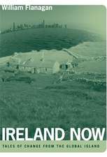 Ireland Now – Tales of Change from the Global Island