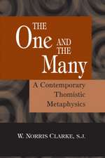 The One and the Many – A Contemporary Thomistic Metaphysics