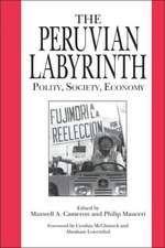 The Peruvian Labyrinth – Polity, Society, Economy