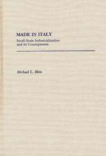 Made in Italy: Small-Scale Industrialization and Its Consequences