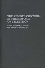 The Remote Control in the New Age of Television