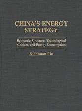 China's Energy Strategy: Economic Structure, Technological Choices, and Energy Consumption