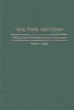 Jung, Freud, and Hillman: Three Depth Psychologies in Context