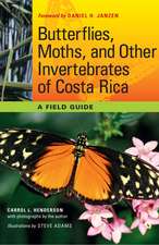 Butterflies, Moths, and Other Invertebrates of Costa Rica: A Field Guide