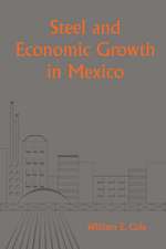 Steel and Economic Growth in Mexico