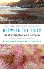 Between the Tides in Washington and Oregon – Exploring Beaches and Tidepools