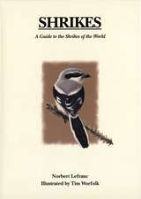 Shrikes: A Guide to the Shrikes of the World