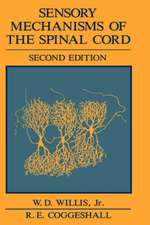 Sensory Mechanisms of the Spinal Cord