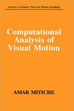 Computational Analysis of Visual Motion